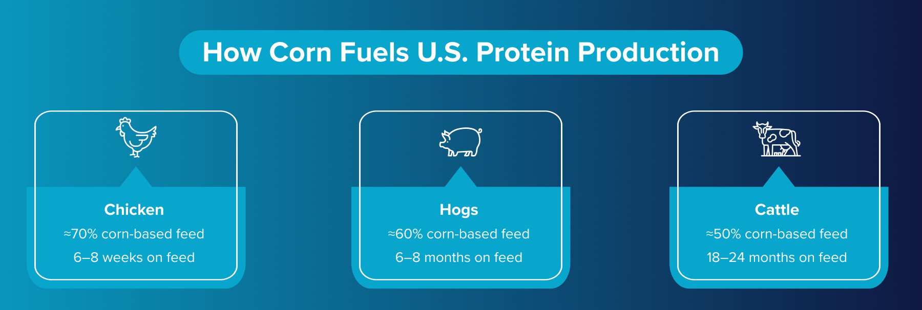 how corn fuels U.S. protein production how corn fuels U.S. protein production