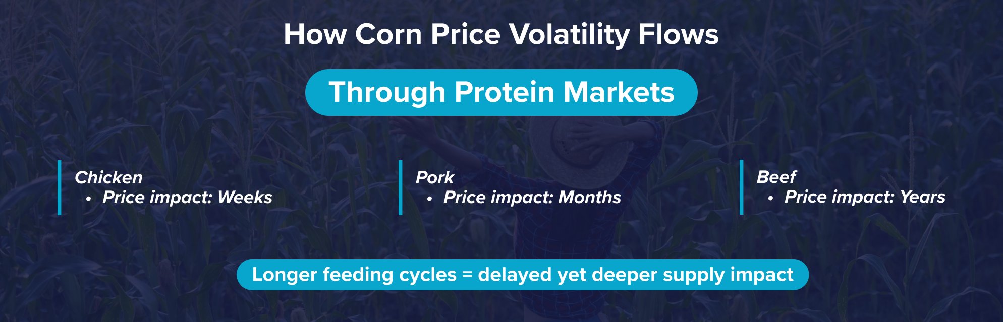 How corn price volatility flows How corn price volatility flows