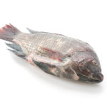 Seafood commodity updates exclusively for ArrowStream users, powered by CommodityONE