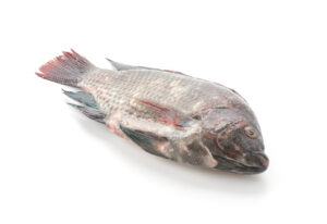 Seafood commodity updates exclusively for ArrowStream users, powered by CommodityONE
