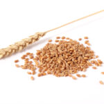 Grains commodity updates exclusively for ArrowStream users, powered by CommodityONE