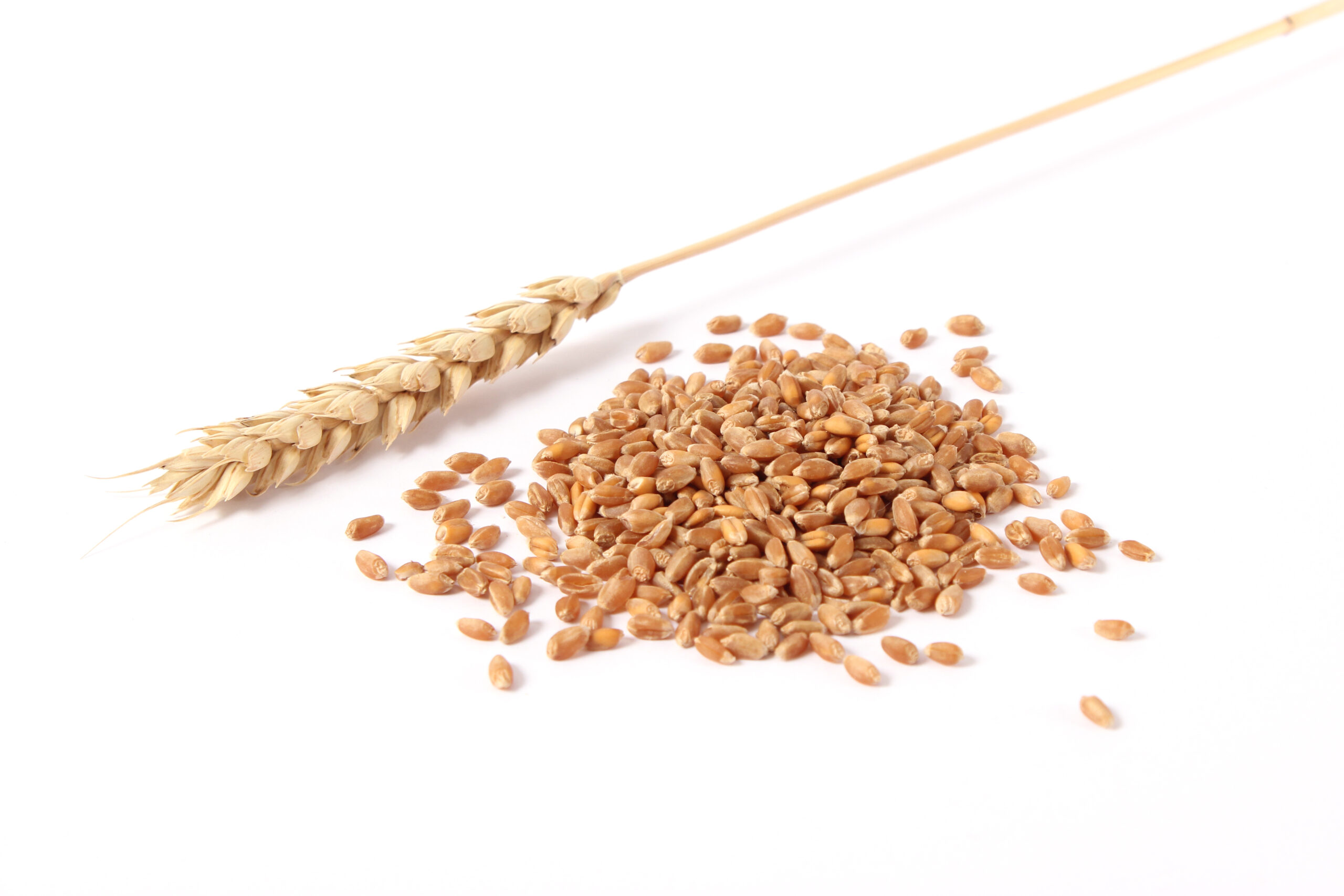 Grains commodity updates exclusively for ArrowStream users, powered by CommodityONE