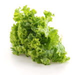 Produce commodity updates exclusively for ArrowStream users, powered by CommodityONE