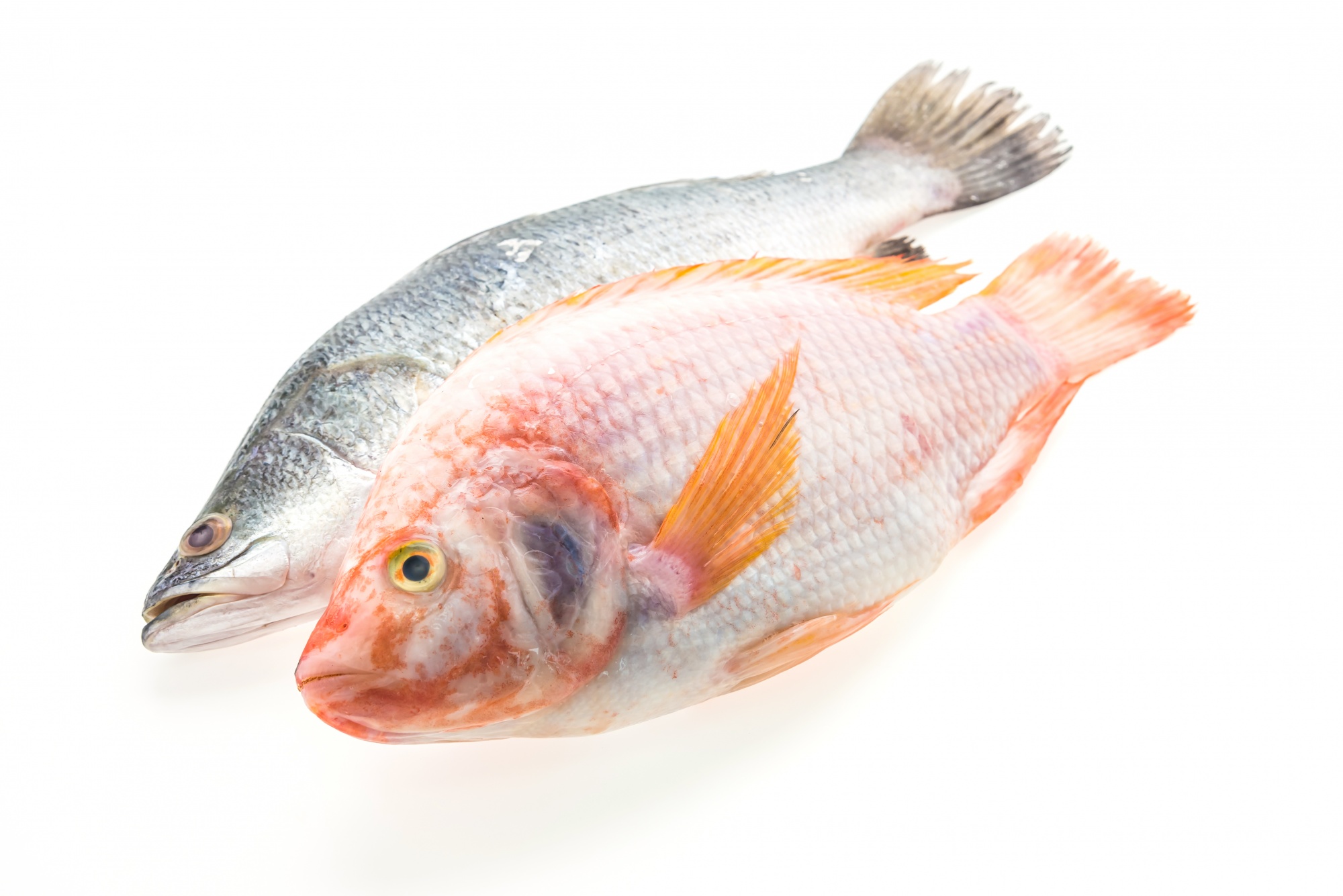 seafood commodity updates exclusively for ArrowStream users, powered by CommodityONE