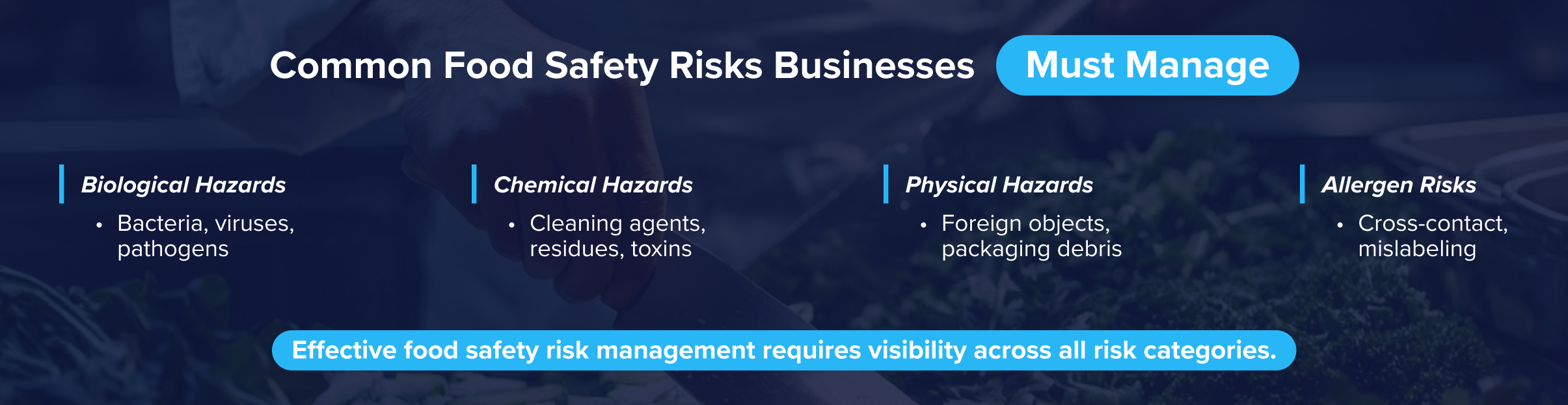 biological, chemical, physical, and allergen hazards in food safety risk management