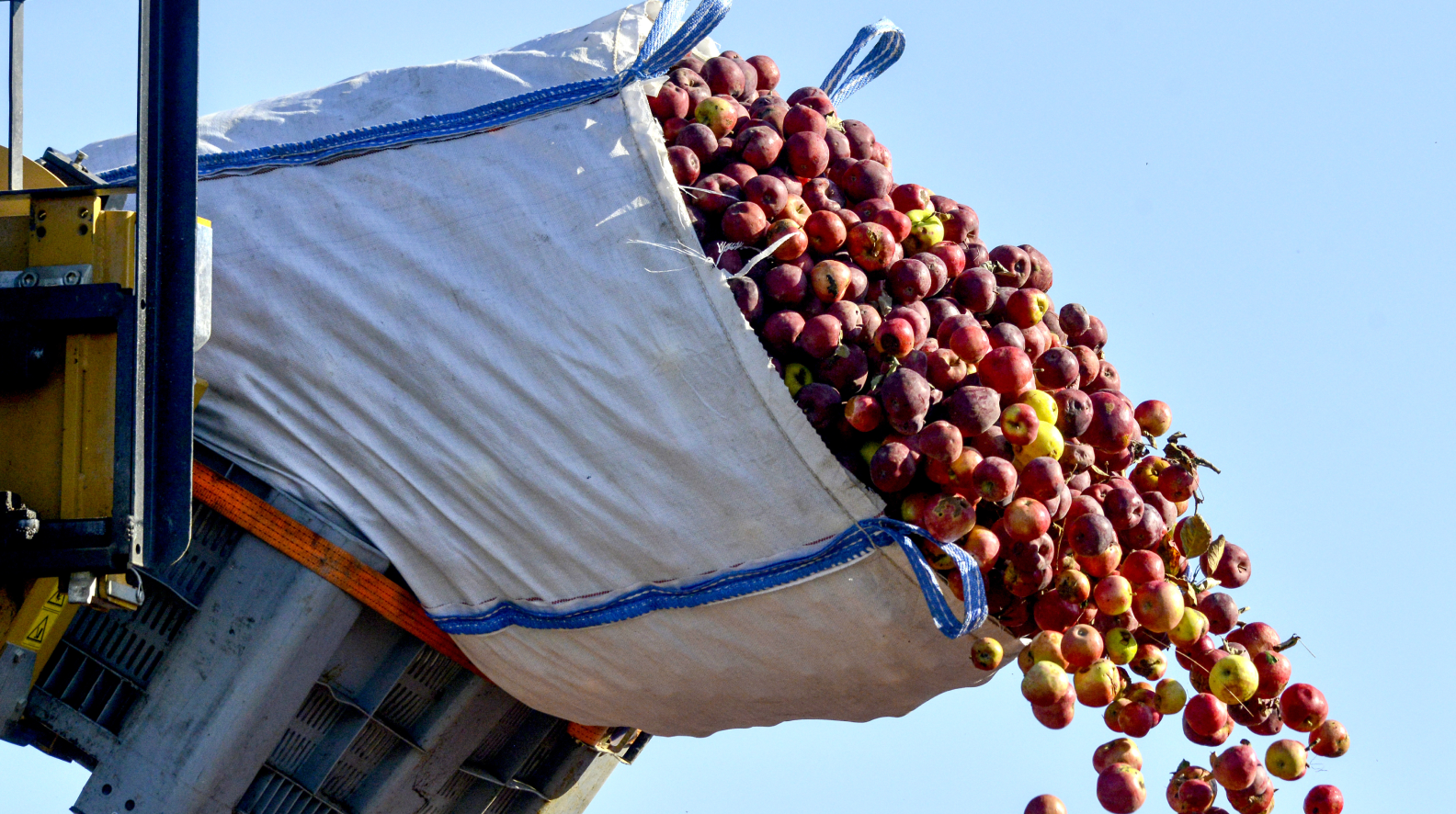Fresh Produce Delivery Inspection